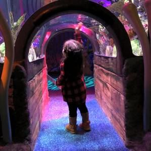 Meet your Posher, Karla